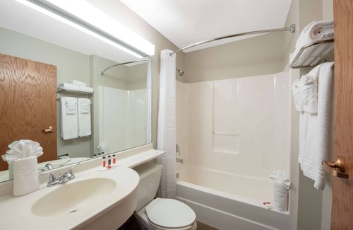 Springfield Hotel | Microtel Inn & Suites by Wyndham Springfield