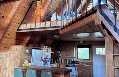 Running Springs Cabin | Mid-Century A-Frame Time Capsule! Escape to the mountains and get out in nature to hike, enjoy the lakes, and skiing/snowboarding!