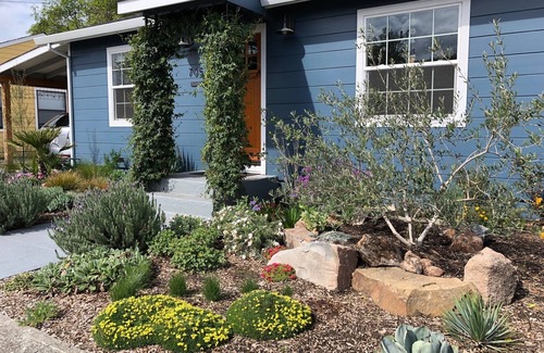 Petaluma House | Mid-century bungalow in wine country