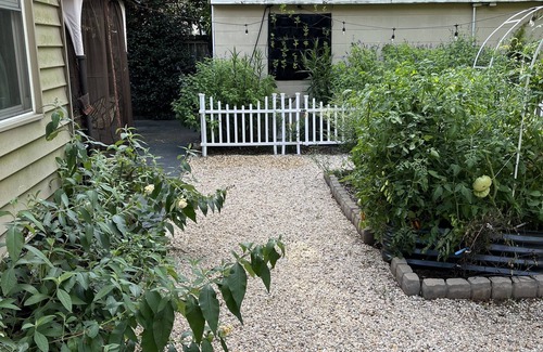 Olde Town Augusta House | Mid Century Bungalow in Old Town - walk to Downtown Augusta!