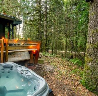 Rhododendron House | Mid-century Cabin Hideaway - Hot Tub & Fire Pit