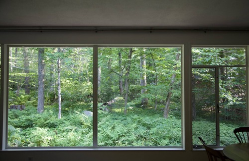 Lexington House | Mid Century in Historic Lexington