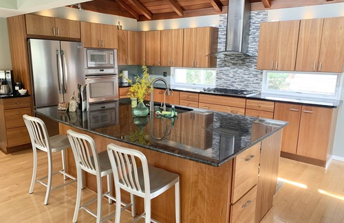 Ann Arbor House | Mid Century Modern Retreat. 10-min walk to the Big House or downtown.