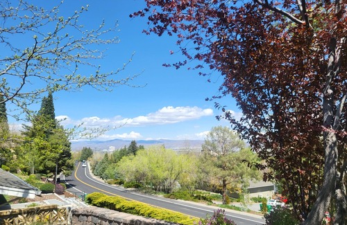 Reno House | Mid-century ranch style charmer with pool in the heart of SW Reno