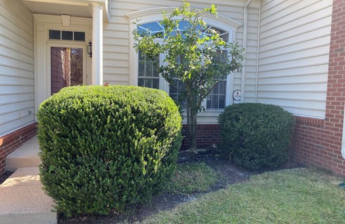 Lakeview Villa | Mid-Long Term Rental villa, pretty location with piano, movie, fitness, trail…