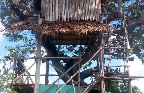 Gede House | Mida Creek Nature Camp