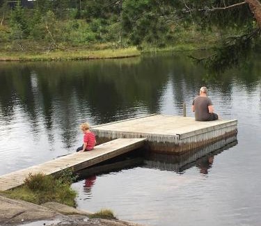 Lardal Municipality House | Middagslia - cabin at Skrim with amazing view