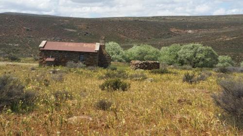Karoo Hoogland Bed & Breakfast | Middelfontein Farm