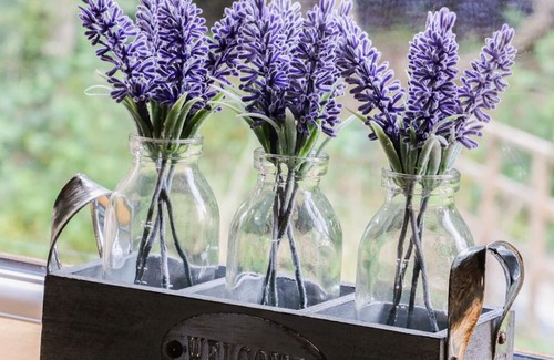 Kiplin Cabin | MIDDLESEX LODGE, pet friendly, character holiday cottage in Kiplin