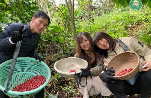 Lam Ha House | Midori Farm
