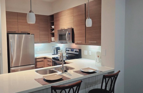 Montrose Apartment | Midtown/Downtown Breeze