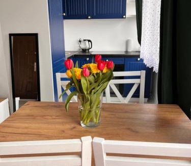Przemysl Apartment | mieszkanie 2 pokoje, Przemyśl, parter
