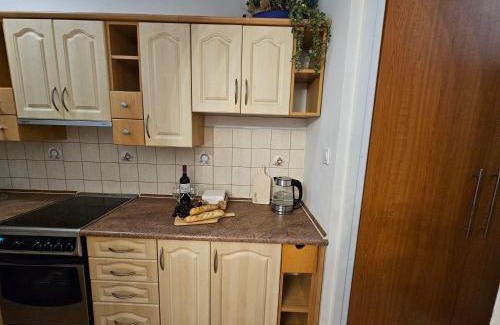 Grunwald Apartment | Mieszkanie Częstochowska 9
