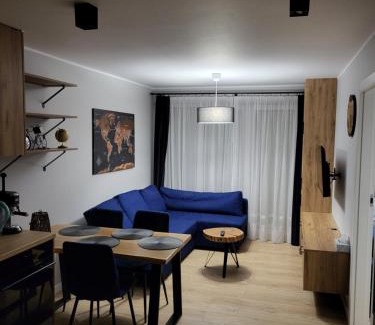 Gliwice Apartment | Mieszkanie w nowym apartamentowcu obok CH Arena, PRYWATNY PARKING