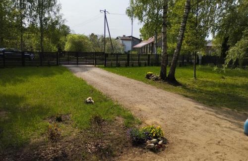 Tuja House | Mikmari