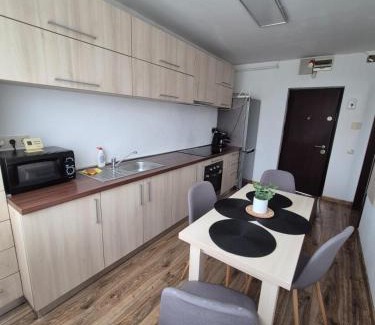 Tirgu Mures Apartment | Milan Apartament-in the center of Târgu Mureș