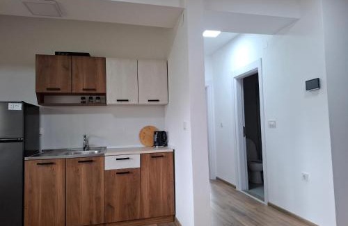 Vardar Region Apartment | Milani Apartment Gevgelija