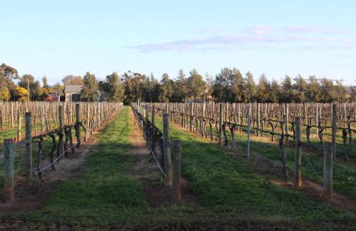 Milawa House | Milawa Vineyard Views - Guesthouse 1