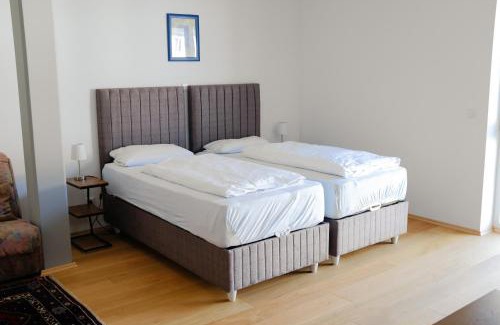 Aschaffenburg House | Milchhof Apartments Aschaffenburg