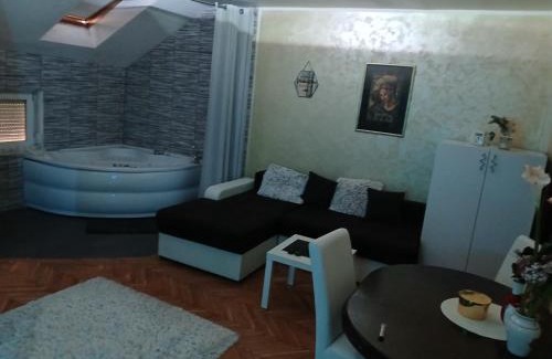 Bistrica Apartment | MilicaNS2