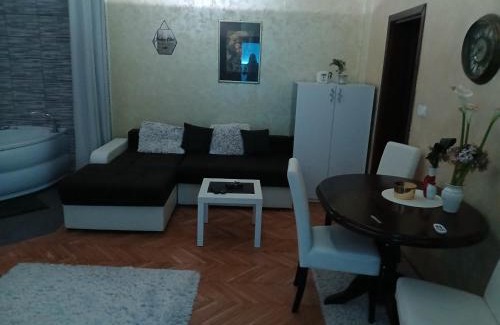 Bistrica Apartment | MilicaNS2