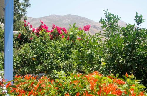 Megalo Chorio Hotel | Milios Studios