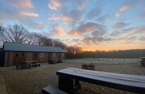 New Forest District Apartment | Mill Lane Farm Holiday Cottages