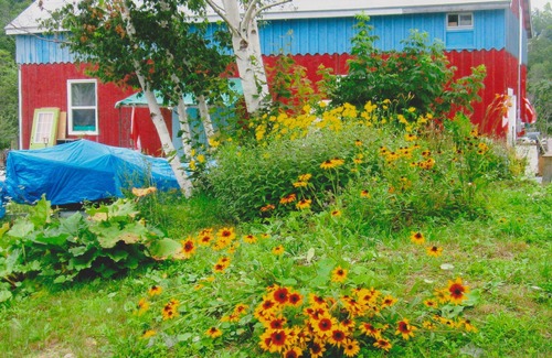 Bear River Cottage | Millyard Recreation Riverfront Cottages