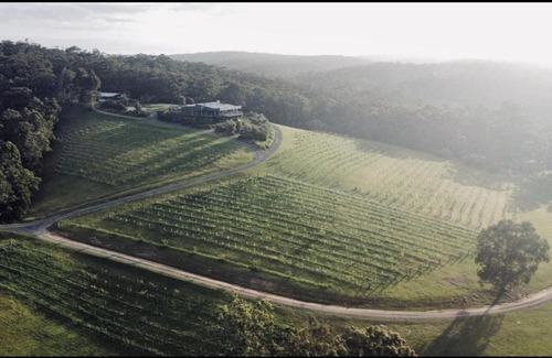 Murrah Apartment | Mimosa Wines