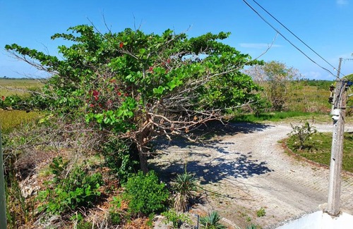 Taperapua Beach House | MINHA CASA DE PRAIA