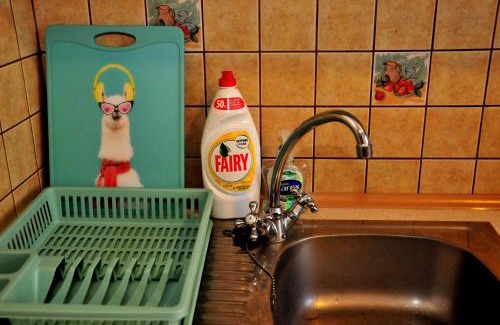 Lancut Apartment | Mini apartament