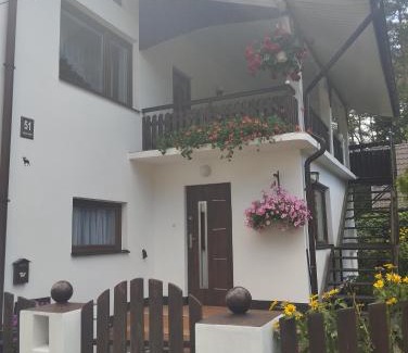 Krasnobrod Apartment | Mini Apartament Sosnowa