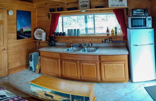 Champion Cabin | Mini Cabin Tucked Away in Moose Country