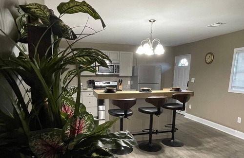 Warner Robins House | Mini Duplex A