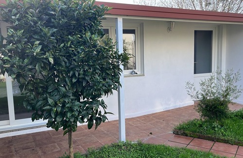 Alcabre Apartment | Mini-house with garden