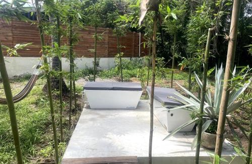 Saladita Apartment | Minimalist Surf, Pool, AC, Icebath, Yoga, Saladita, 50m to Surf