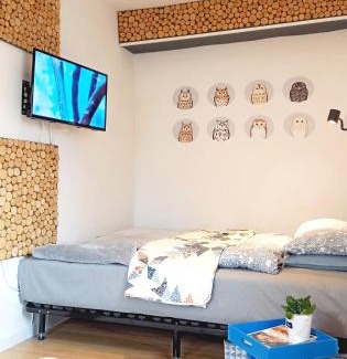 Jedlina-Zdroj Apartment | miniSowa