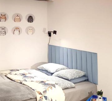 Jedlina-Zdroj Apartment | miniSowa