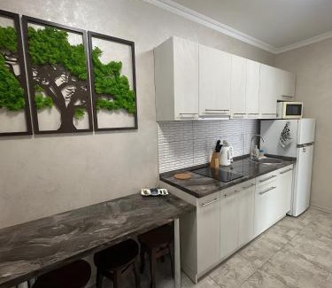 Polyana Apartment | Mint Apartment Солнечное Закарпатье