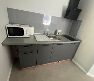 Kaunas County Apartment | Mintare