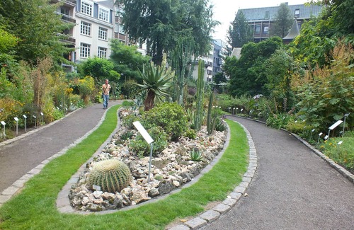 Jewish Quarter Apartment | Minutes Away to Antwerp Zoo, Belgium! Downtown w/Full Kitchen & Sun Terrace!