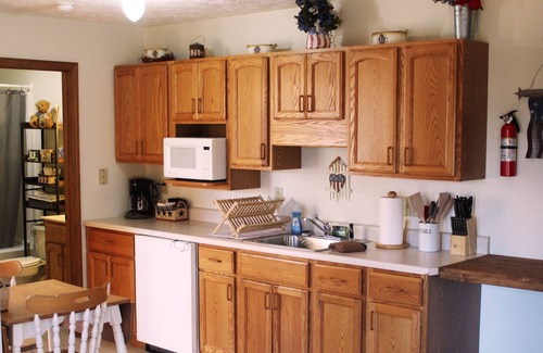 Makanda Cabin | Minutes to Giant City - SIU - Shawnee Winetrail - Shawnee Forest - Wi-Fi
