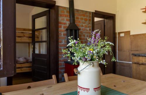 Central Serbia Apartment | Mir i planina