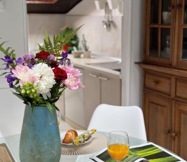 Municipality of Krizevci Apartment | Mira's Apartment