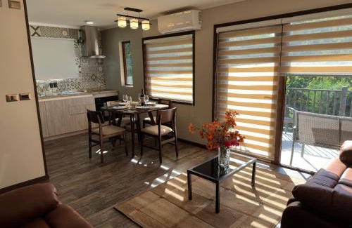 Osorno Apartment | Mirabosque aparmet Ejecutivo 7