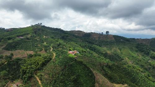 La Estrella Cabin | Mirador La Fortuna