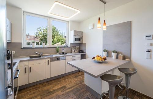 Mainz-Bingen Apartment | Miralior Apartment Mainz - perfekt für Business, Familie, Weinproben im Herbst!
