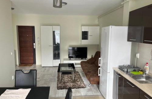Lazaret Apartment | Mircea’ home Sibiu
