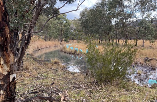 Coonabarabran House | Mirrabook Estate Coonabarabran