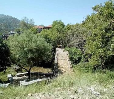 Dimitra Arkadias House | Mirto’s House